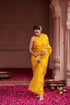Organza Jaal Saree